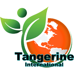 Tangerine International School